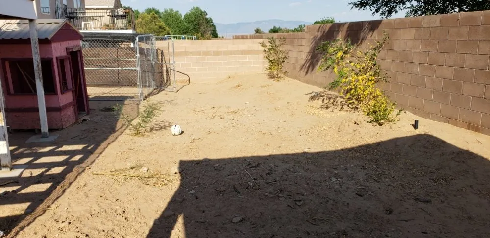 Reliable landscaping services experts serving Albuquerque, NM - Verdant Grounds