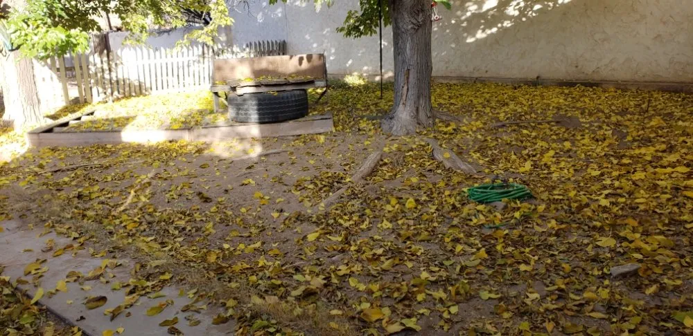 Expert landscape design with custom design in Albuquerque, NM by Verdant Grounds