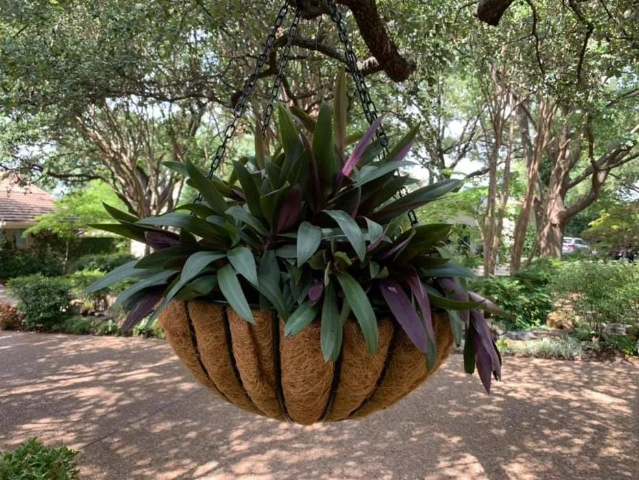 Custom yard cleanup service for year-round maintenance across Dallas, TX - Verdant Grounds