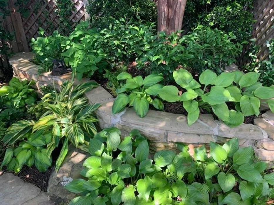 Local landscaping services in Dallas, TX - Verdant Grounds