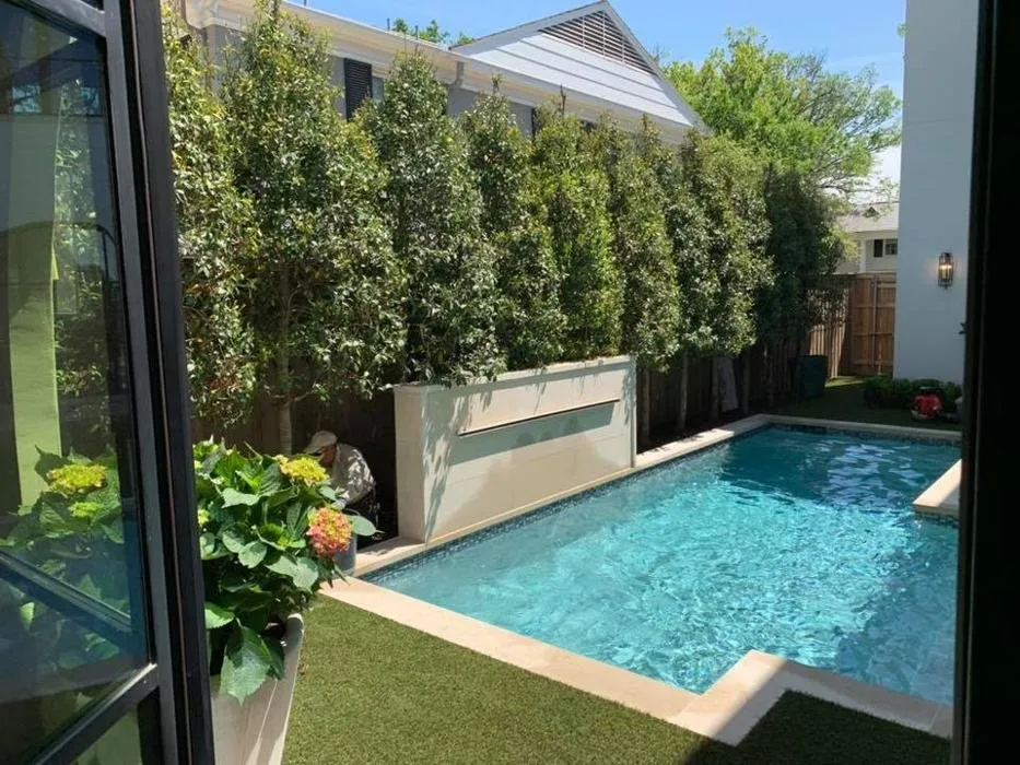 Top-rated landscape design in Dallas, TX - Verdant Grounds