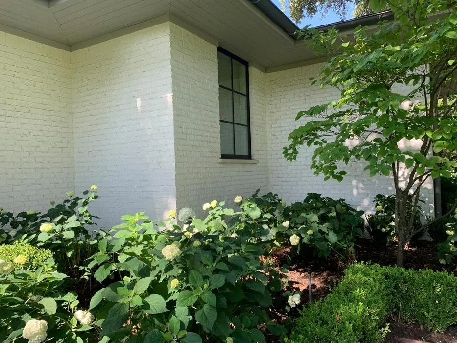 Local landscape design for year-round maintenance in Dallas, TX by Verdant Grounds