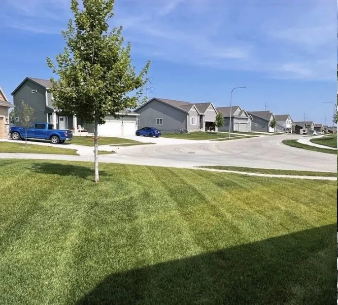 Trusted lawn care service in Papillion, NE - Verdant Knight Lawn Care