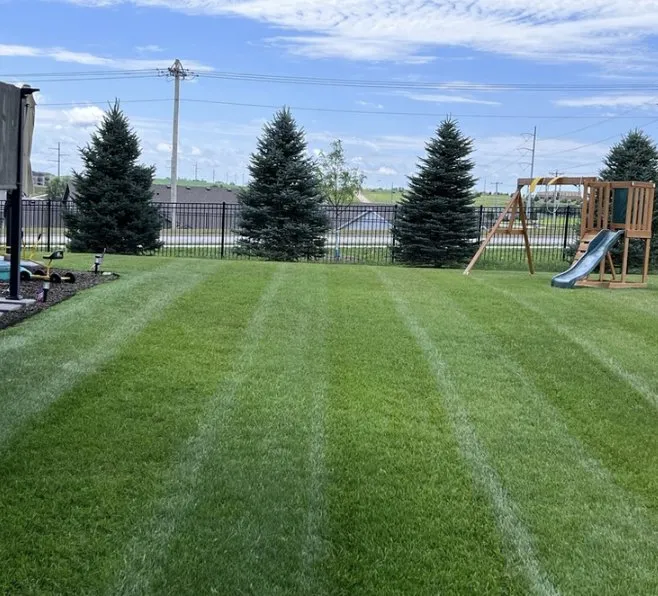 Local outdoor landscaping in Papillion, NE - Verdant Knight Lawn Care