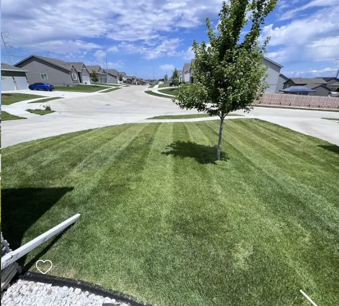 Expert landscaping services for homes in Papillion, NE by Verdant Knight Lawn Care