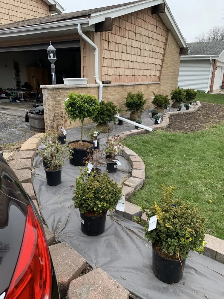 Expert lawn care service in Milwaukee, WI by Verdant Landscaping