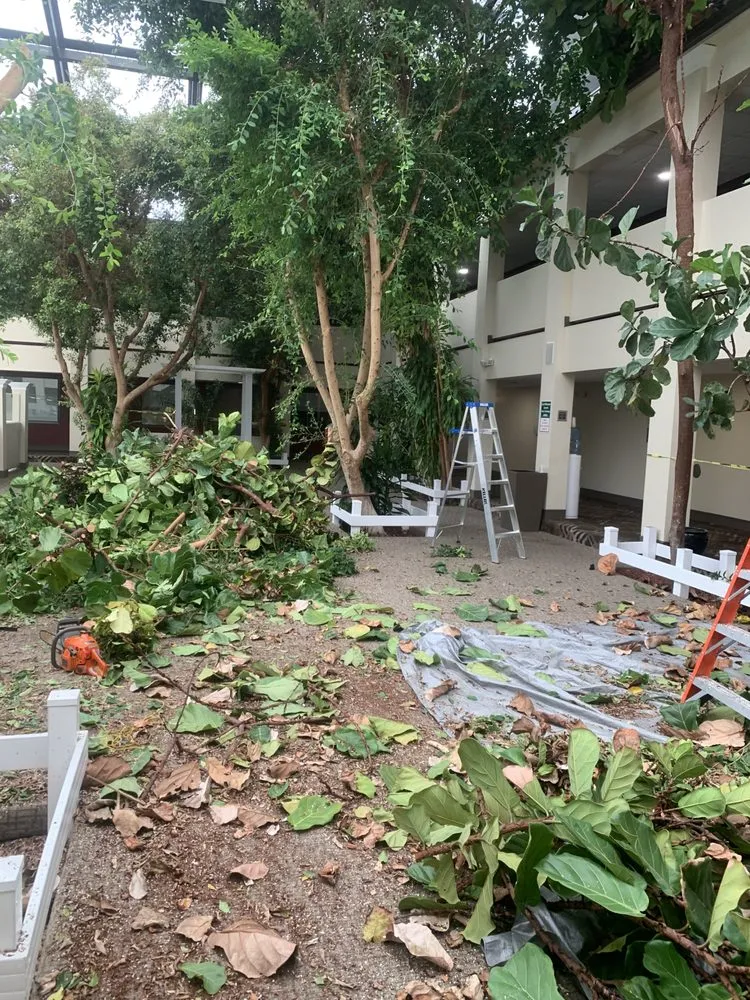 Professional outdoor landscaping experts serving Milwaukee, WI - Verdant Landscaping