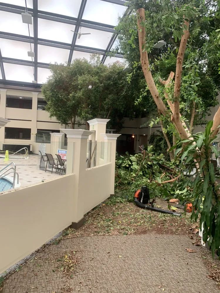 Expert lawn care service in Milwaukee, WI by Verdant Landscaping