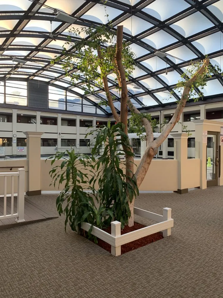 Professional yard maintenance for outdoor upgrades across Milwaukee, WI - Verdant Landscaping