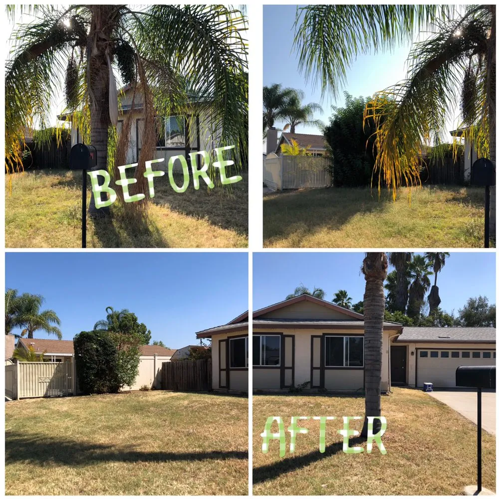 Trusted garden landscaping for residential properties in San Diego, CA by Verdant Landscaping