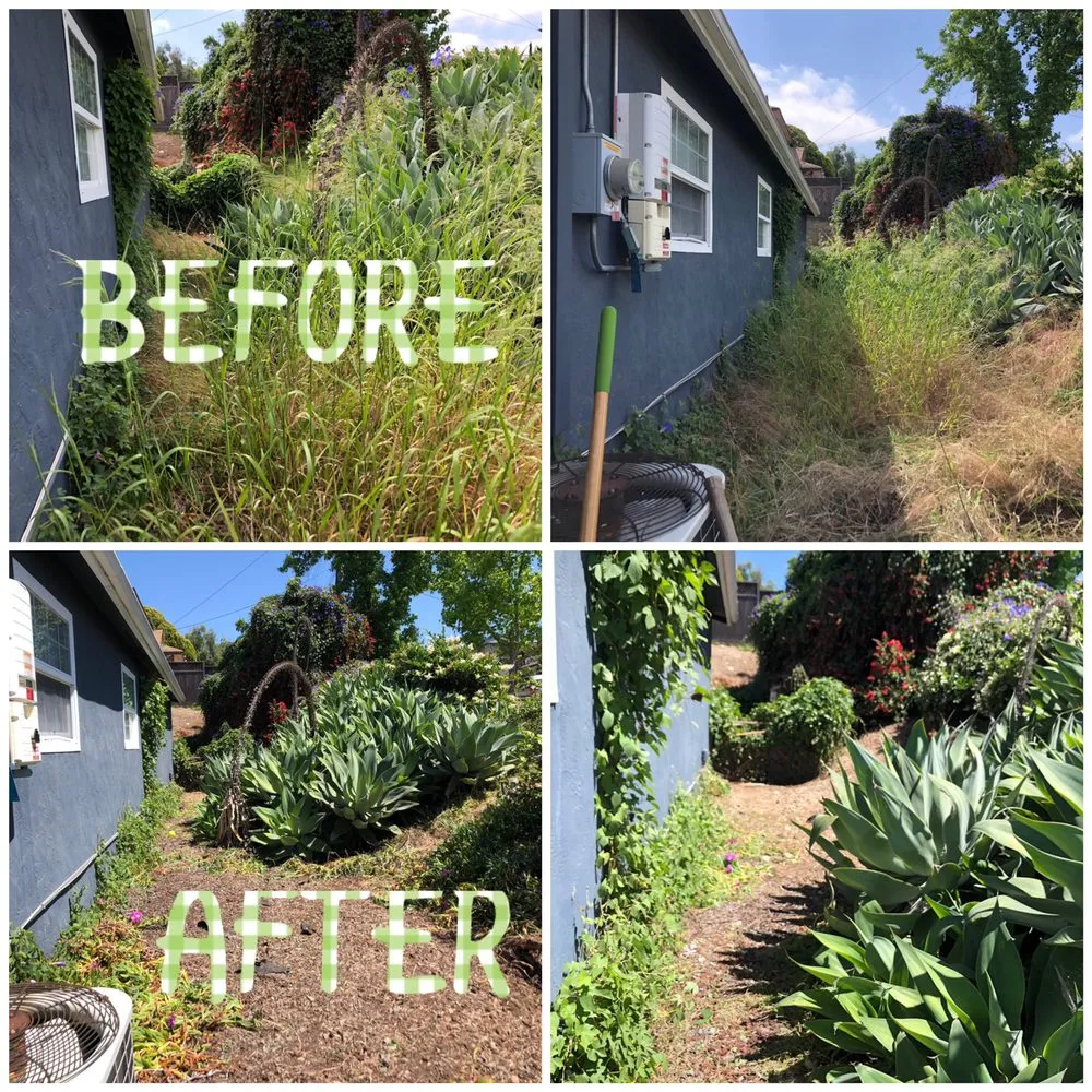 Professional landscaping services in San Diego, CA by Verdant Landscaping