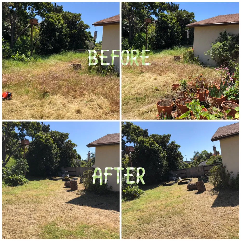 Reliable lawn mowing service for year-round maintenance across San Diego, CA - Verdant Landscaping