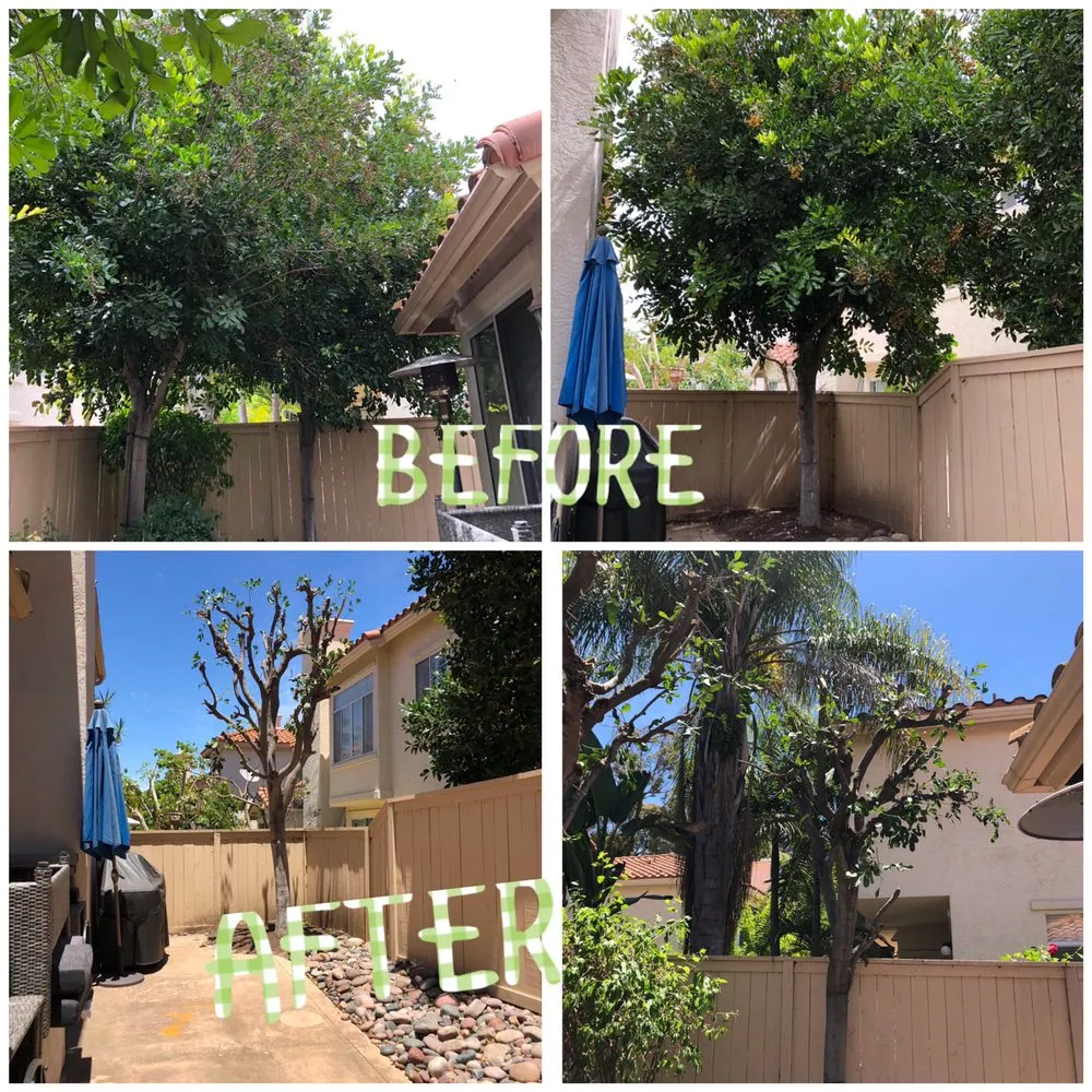 Top-rated yard cleanup service with custom design in San Diego, CA by Verdant Landscaping