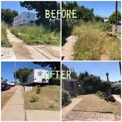 Verdant Landscaping Logo