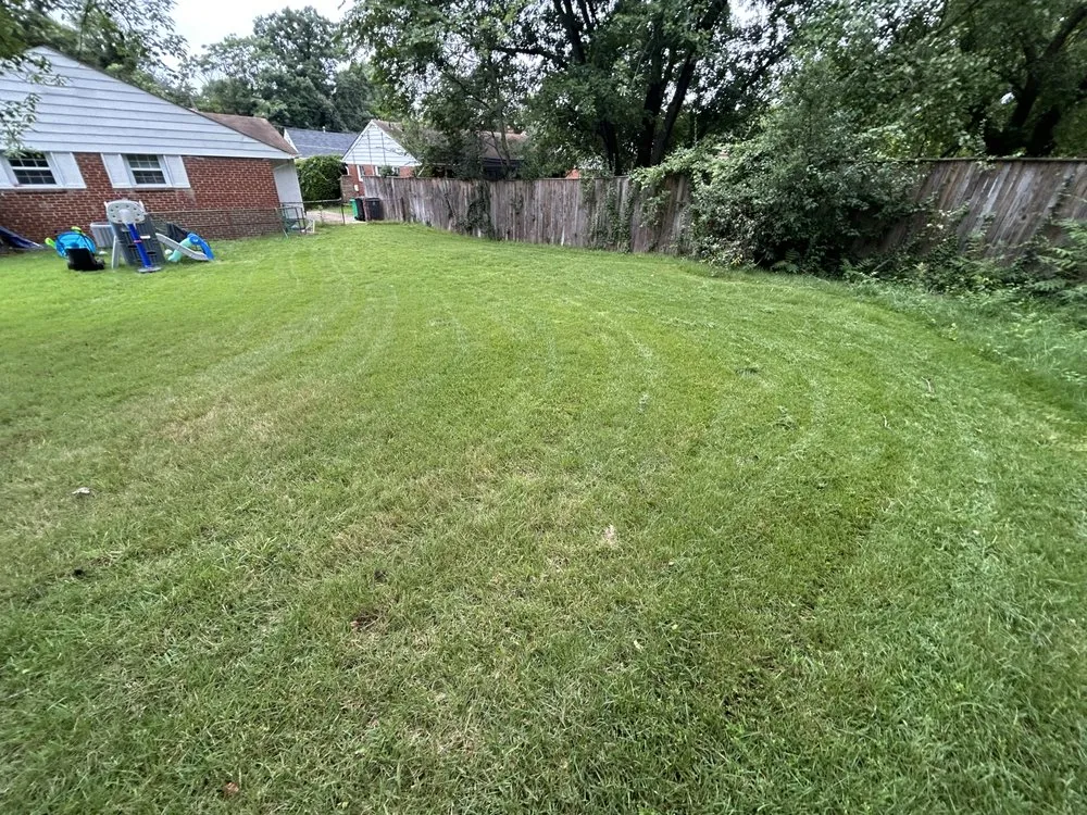 Reliable yard maintenance for residential properties across Morningside, MD - Verdant Lawn Care