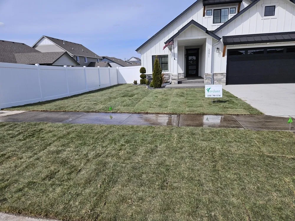 Professional yard cleanup service in Coeur d'Alene, ID by Verdant Lawn Care Service