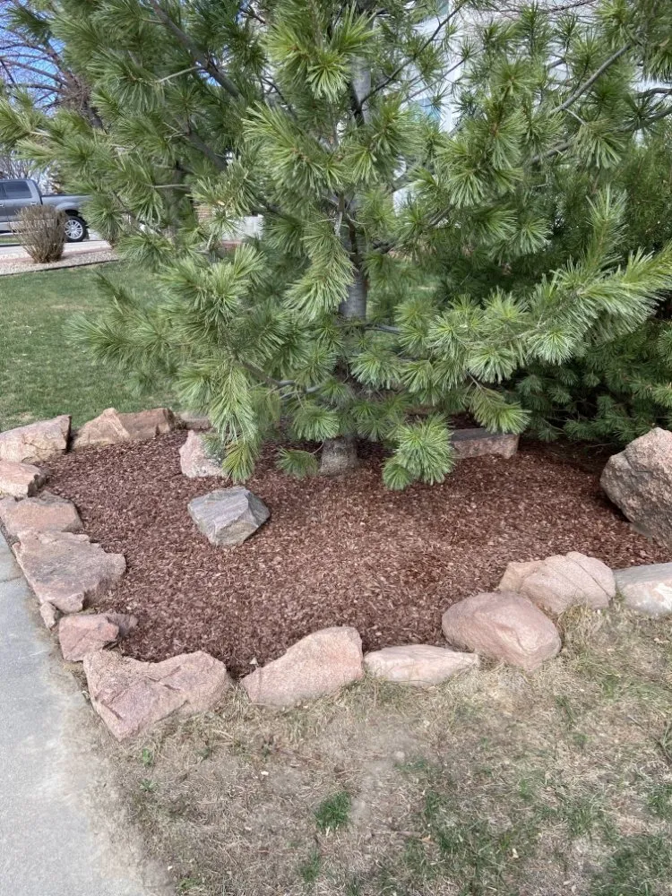 Professional landscape installation in Loveland, CO - Verdant Lawn Solutions