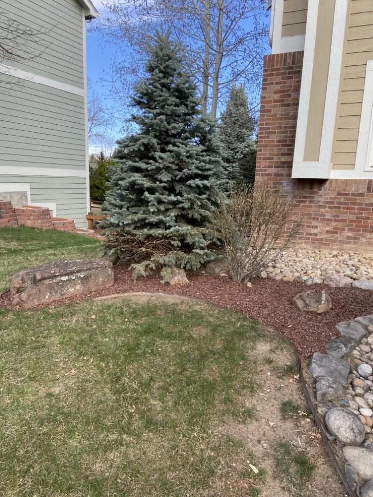 Custom landscape installation for year-round maintenance in Loveland, CO by Verdant Lawn Solutions