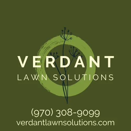 Affordable lawn care service for year-round maintenance in Loveland, CO by Verdant Lawn Solutions