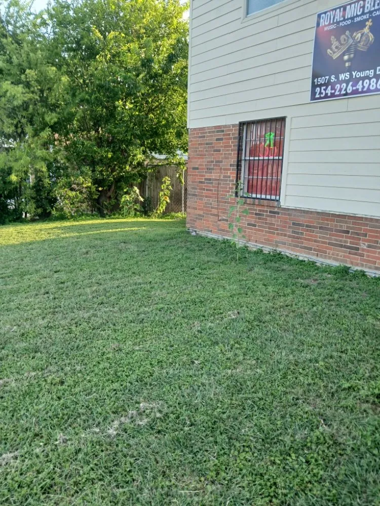 Affordable yard maintenance experts serving Killeen, TX - Verdant Oasis