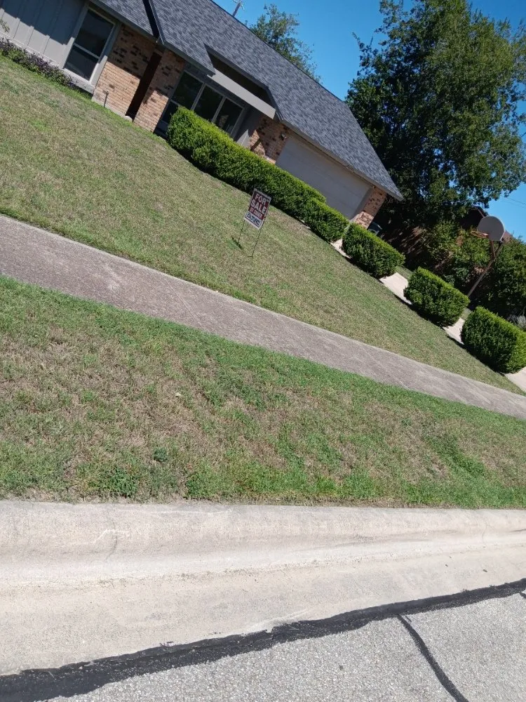 Top-rated landscaping services in Killeen, TX - Verdant Oasis