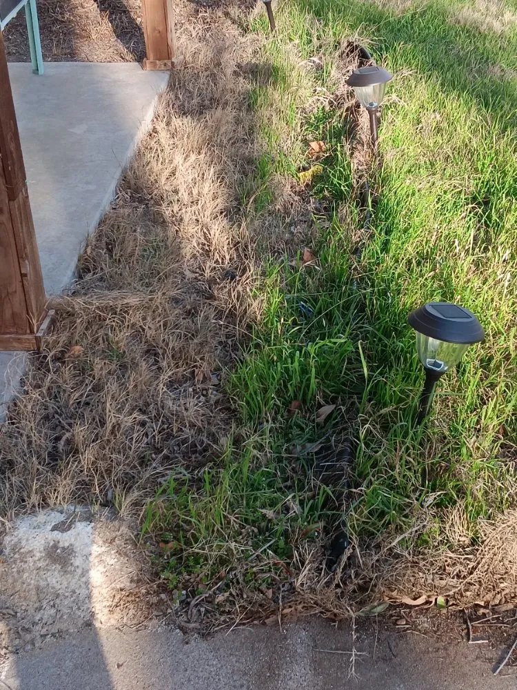 Top-rated landscape design in Killeen, TX by Verdant Oasis