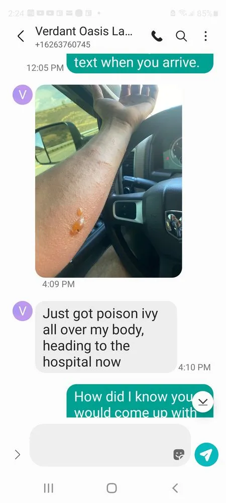 Affordable landscape installation in Los Angeles, CA by Verdant Oasis Landscape and Maintenance