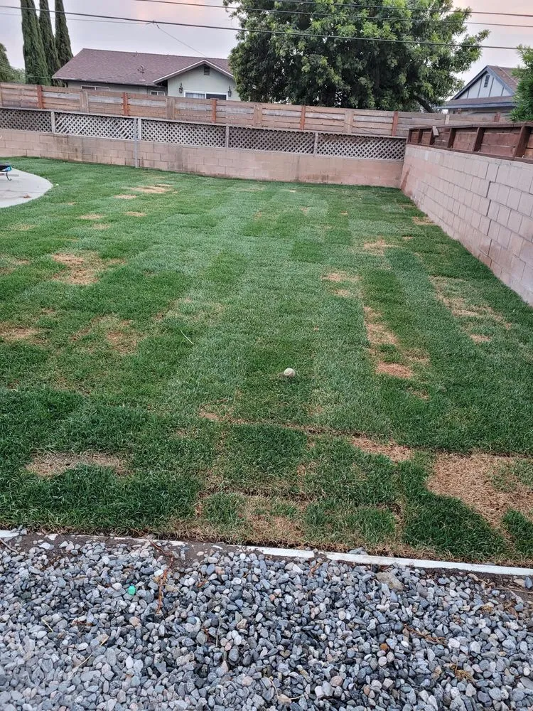 Reliable outdoor landscaping in Los Angeles, CA - Verdant Oasis Landscape and Maintenance