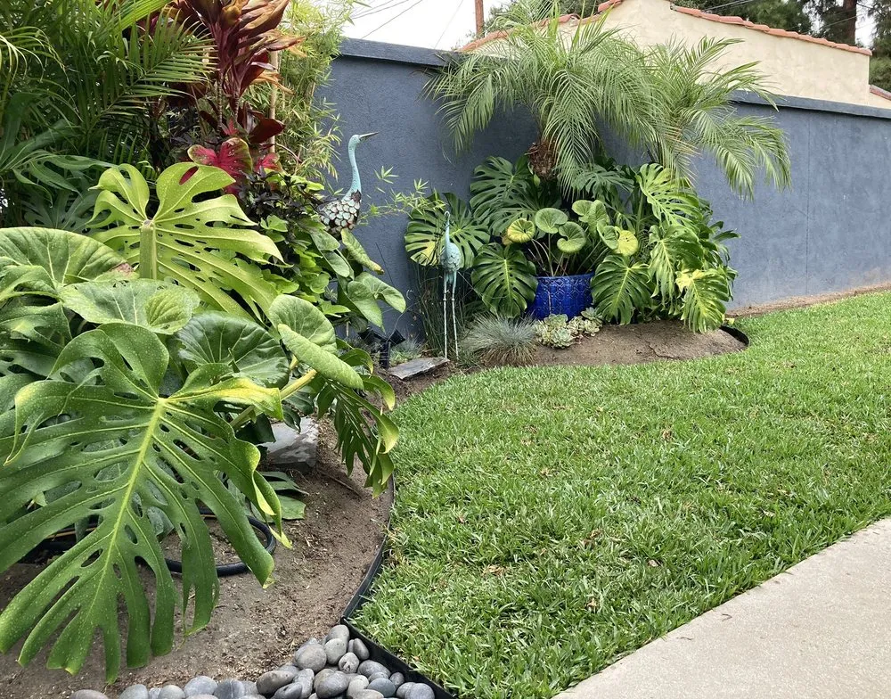 Expert yard maintenance in Los Angeles, CA by Verdant Oasis Landscape and Maintenance