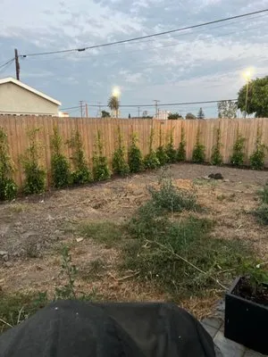 Verdant Oasis Landscape and Maintenance Logo