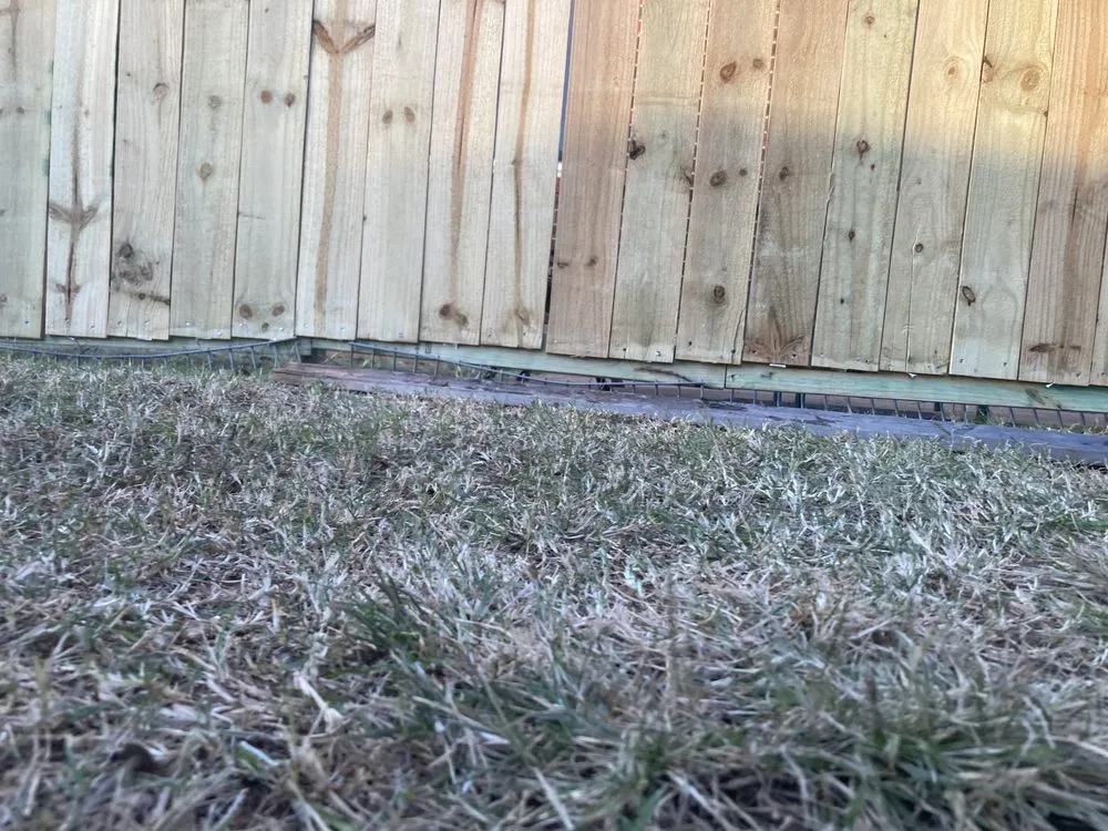 Custom yard maintenance in Oklahoma City, OK - Verdant Plains Lawn Care & Landscaping