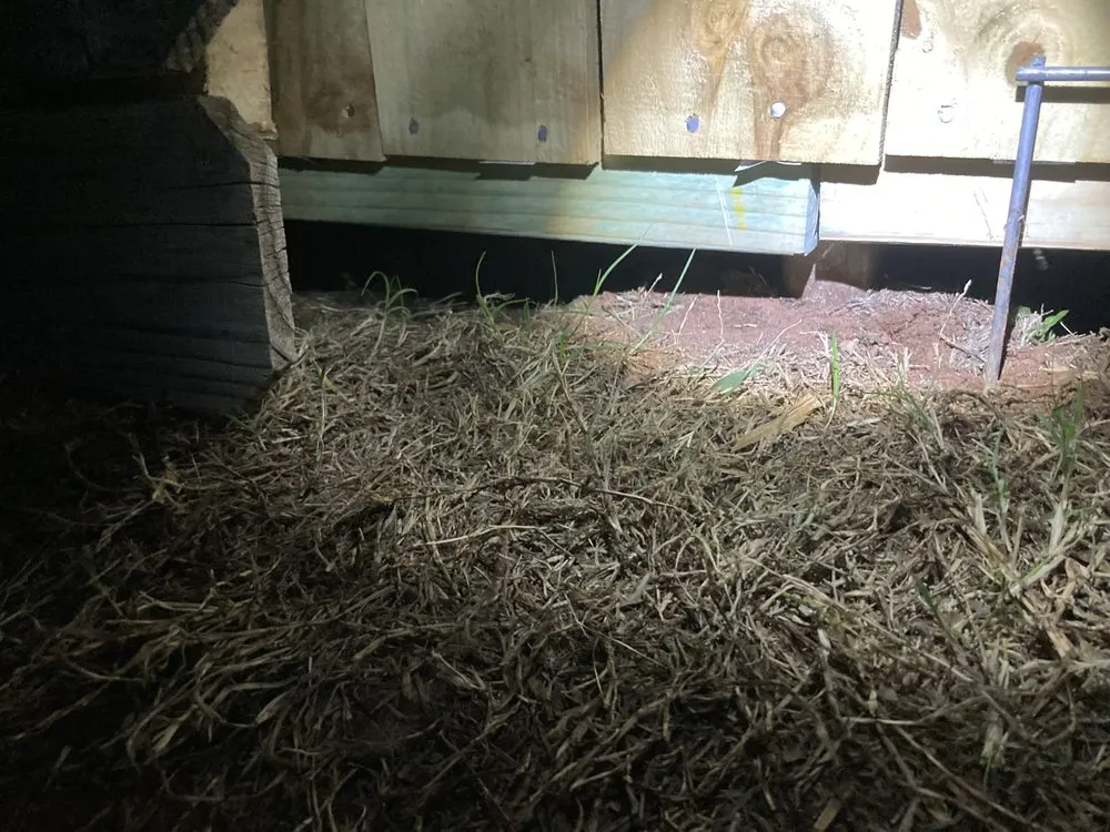 Expert lawn care service in Oklahoma City, OK by Verdant Plains Lawn Care & Landscaping