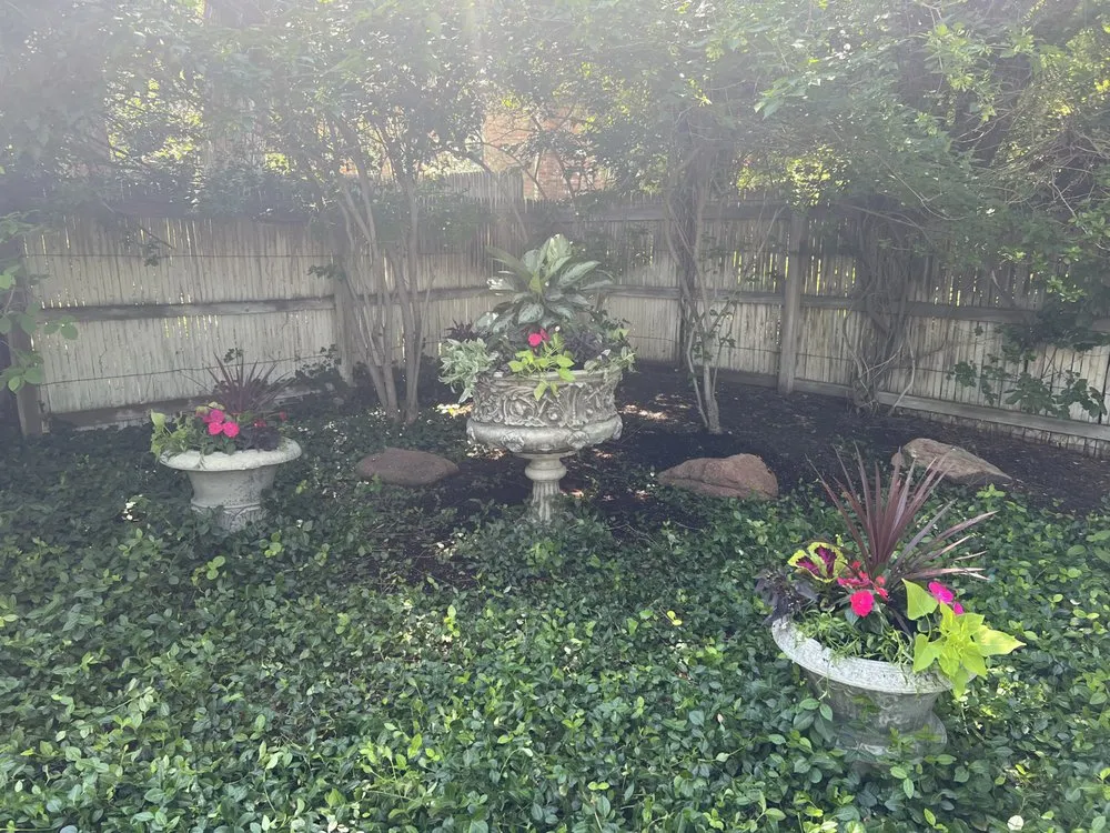 Professional garden landscaping for beautiful yards across Arvada, CO - Verdant Roots