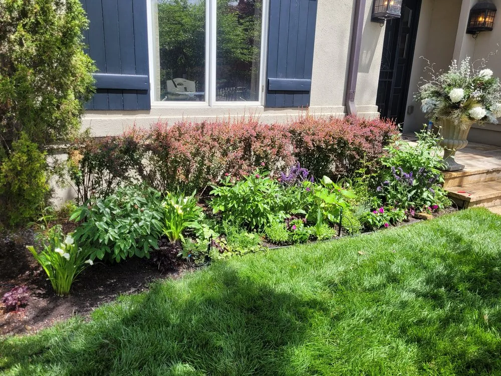 Expert garden landscaping for residential properties in Arvada, CO by Verdant Roots