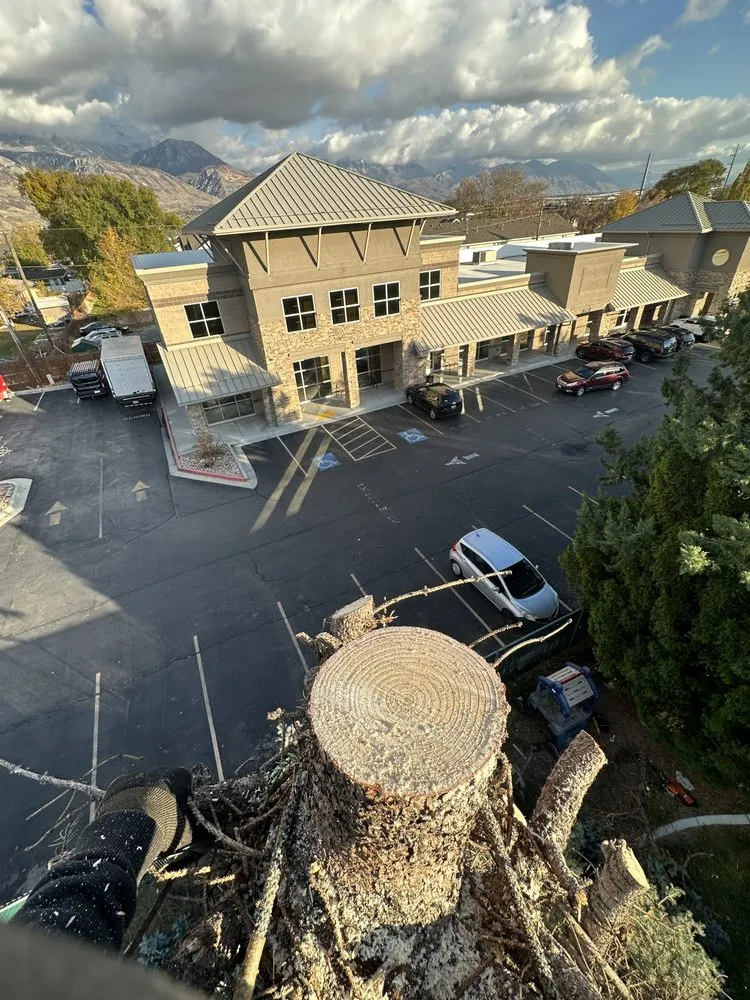 Reliable landscape installation in Millcreek, UT - Verdant Valley Tree And Landscpaing