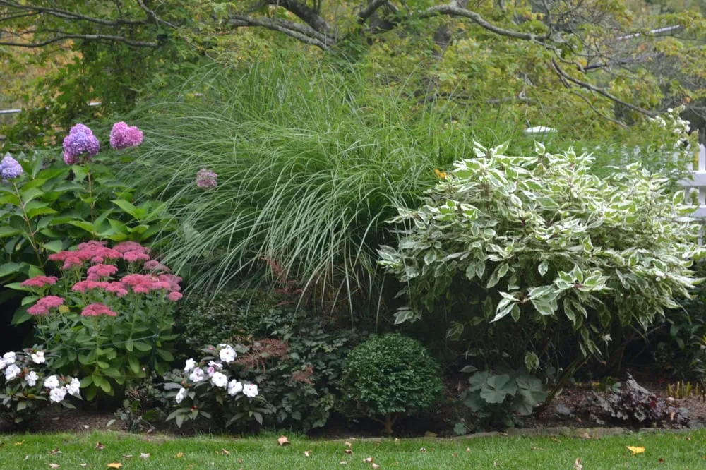 Affordable lawn mowing service for year-round maintenance in Waccabuc, NY by Verdant View