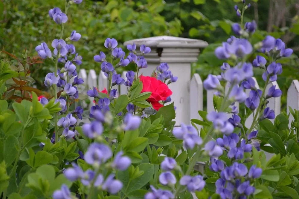 Affordable residential landscaping for homes in Waccabuc, NY by Verdant View