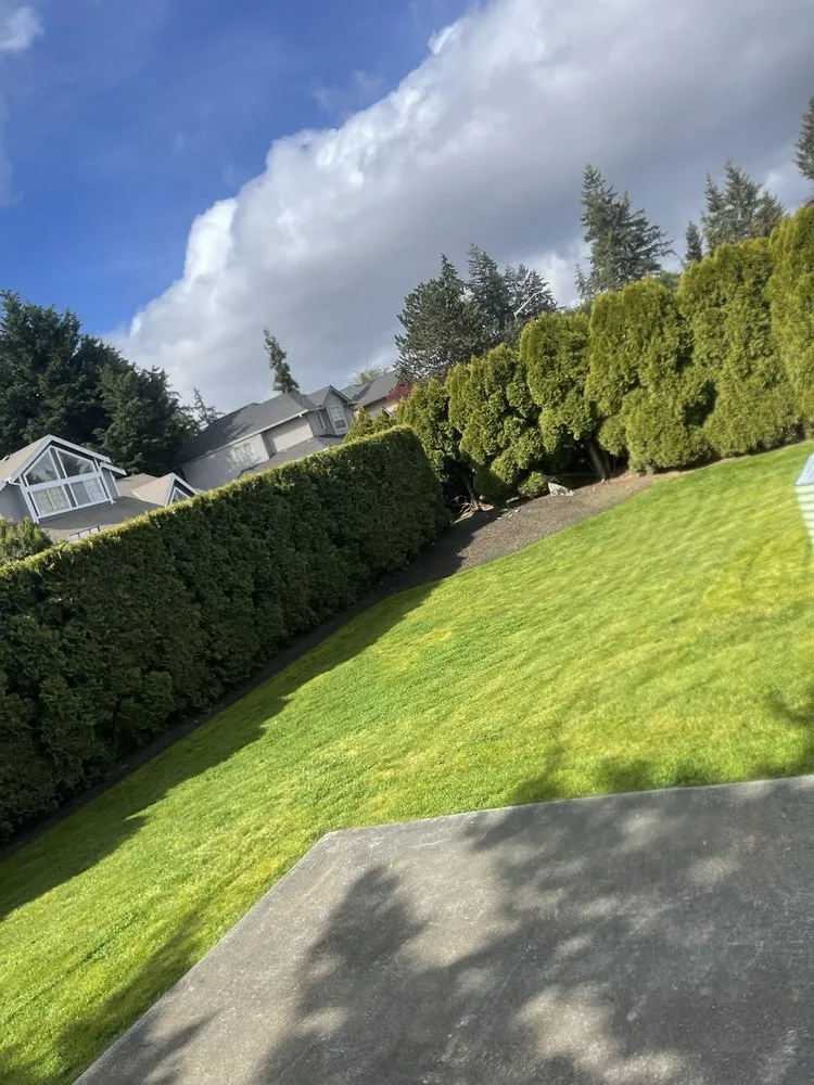 Local garden landscaping for outdoor upgrades across Auburn, WA - Verdant Vision Landscaping