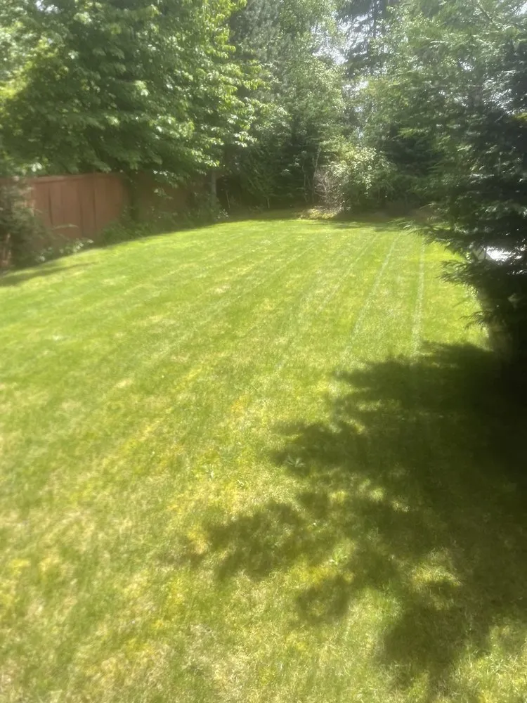 Professional landscape installation in Auburn, WA - Verdant Vision Landscaping