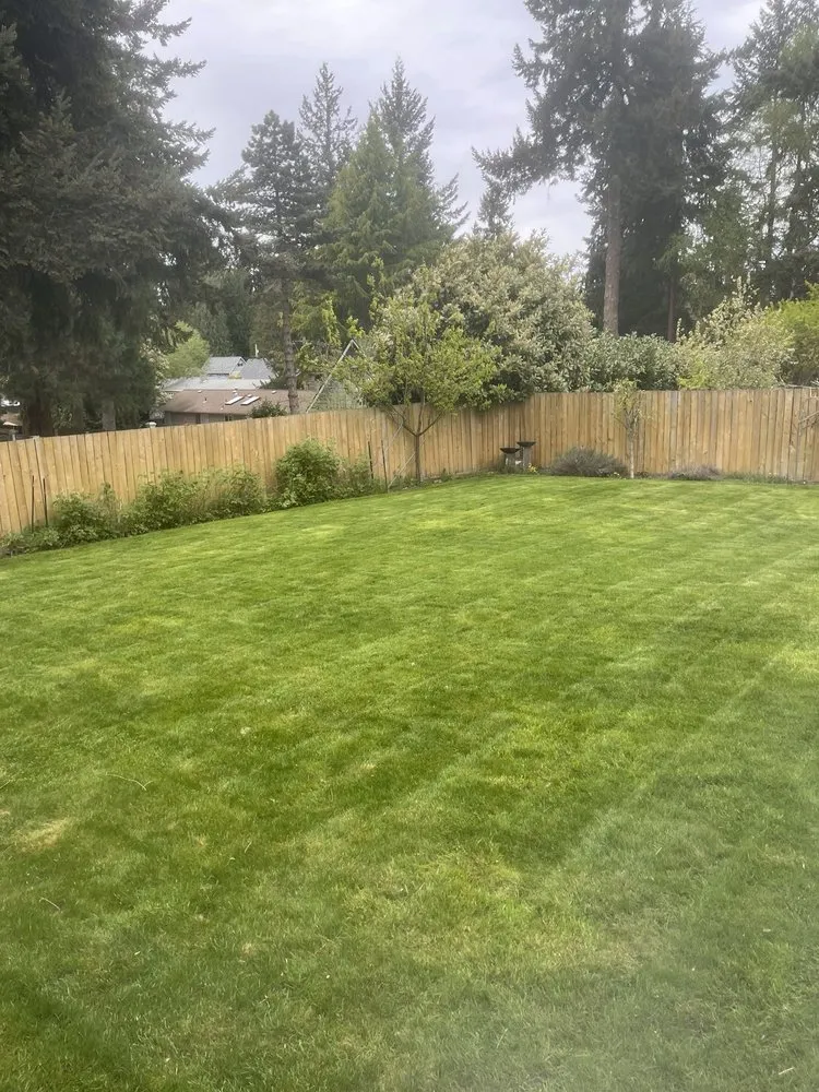 Professional yard cleanup service experts serving Auburn, WA - Verdant Vision Landscaping