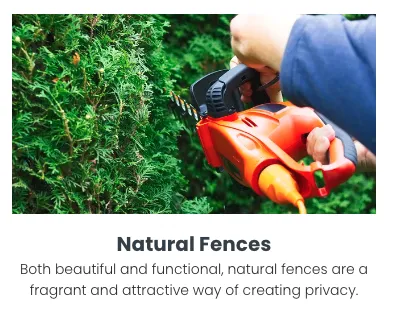 Affordable yard maintenance for year-round maintenance in Vale, NC by Verdant Visions Lawncare