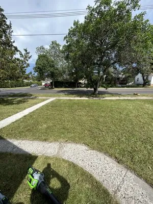 Verdant Vista Lawn Care Logo