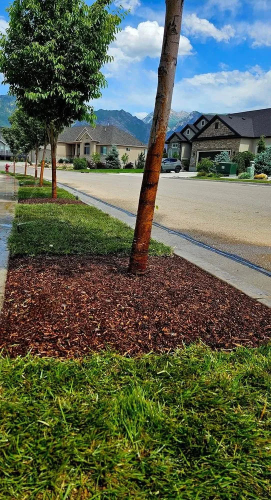 Top-rated yard maintenance for residential properties across Draper, UT - VerdantCraft Landscapes & Outdoor Living