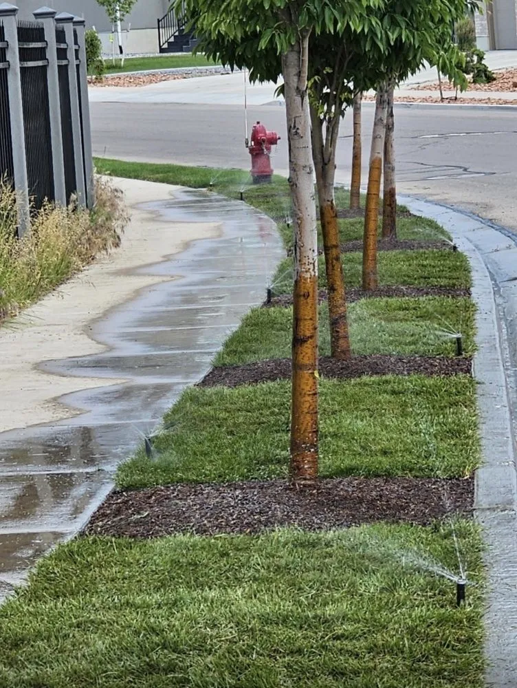 Trusted residential landscaping near you in Draper, UT by VerdantCraft Landscapes & Outdoor Living