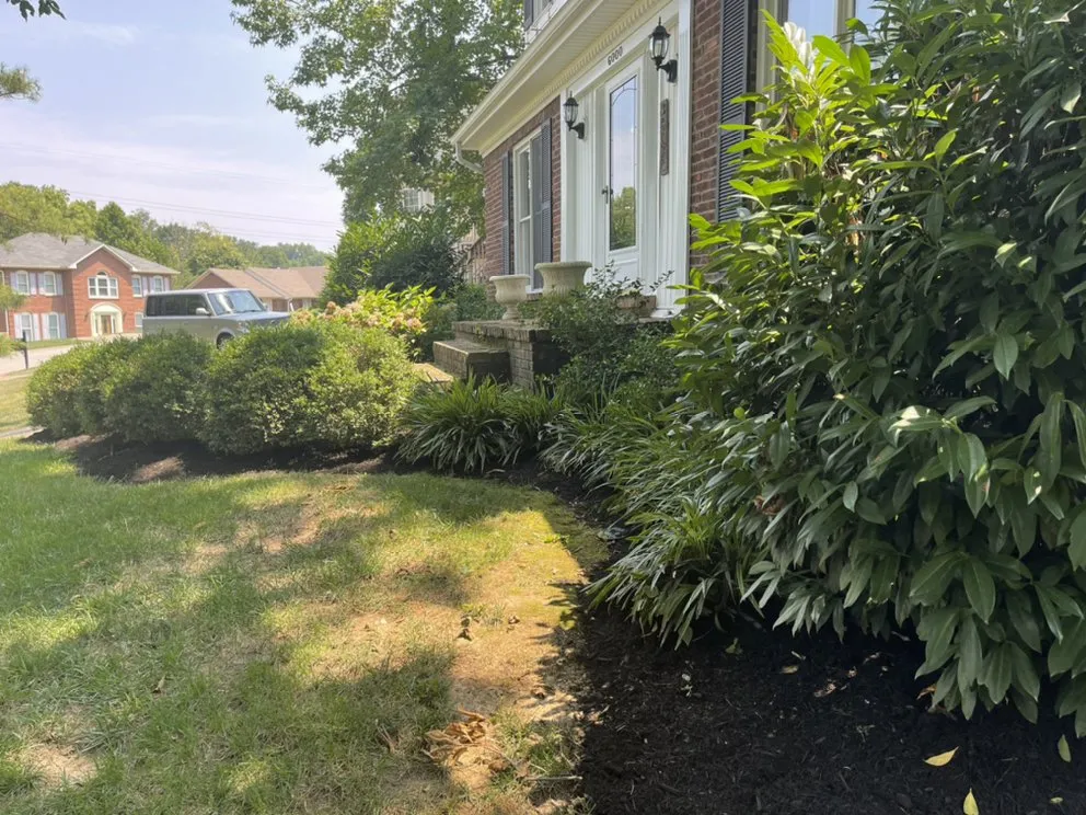 Expert landscape design experts serving Louisville, KY - Verde Care Lawn