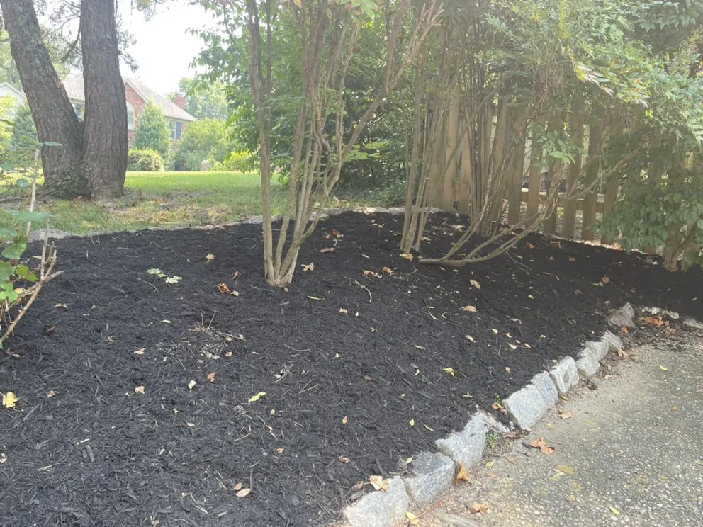 Local landscaping services experts serving Louisville, KY - Verde Care Lawn