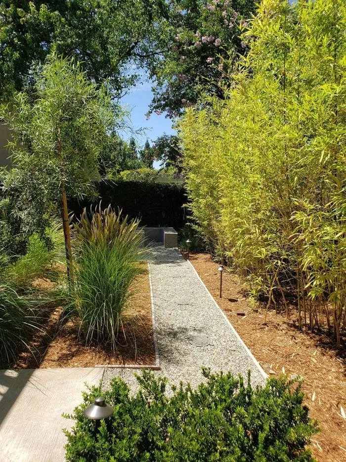 Trusted yard cleanup service in Granite Bay, CA by Verde Creations