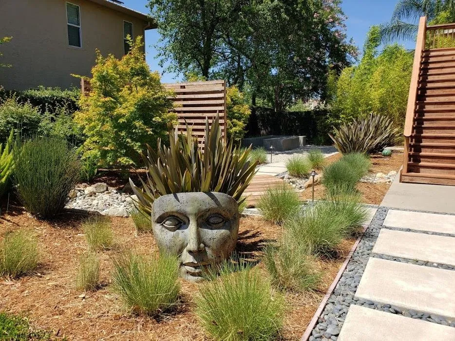 Reliable outdoor landscaping in Granite Bay, CA - Verde Creations