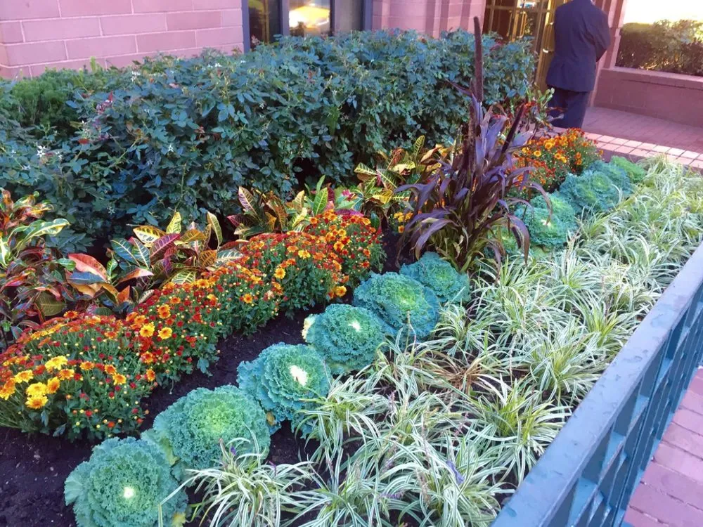 Custom lawn mowing service in East Patchogue, NY - Verde Domani