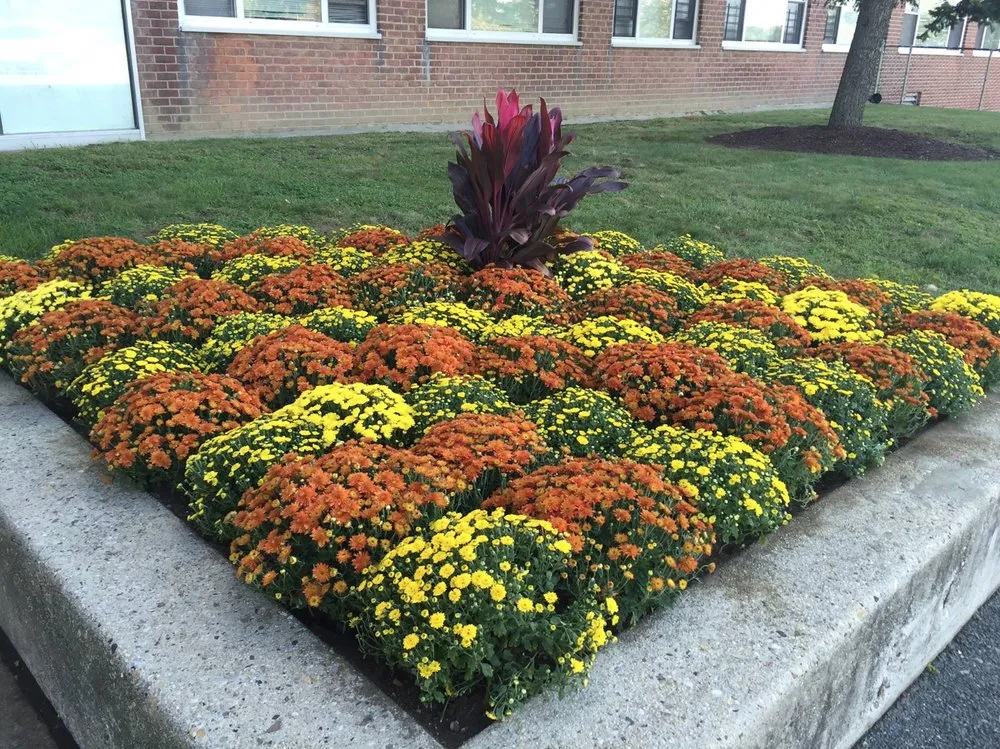 Reliable garden landscaping in East Patchogue, NY by Verde Domani